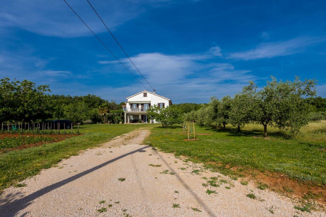 Apartments Sara Milohnici Екстериор снимка